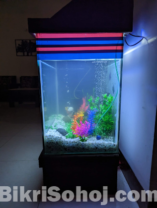 Aquarium (একুরিয়াম )